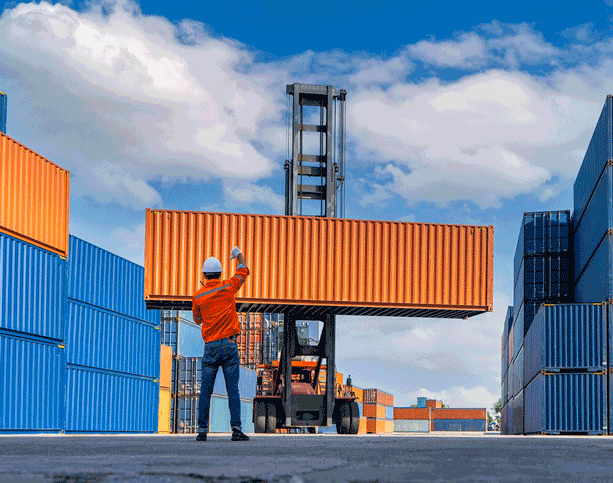 Logistics team expertise in container port operations